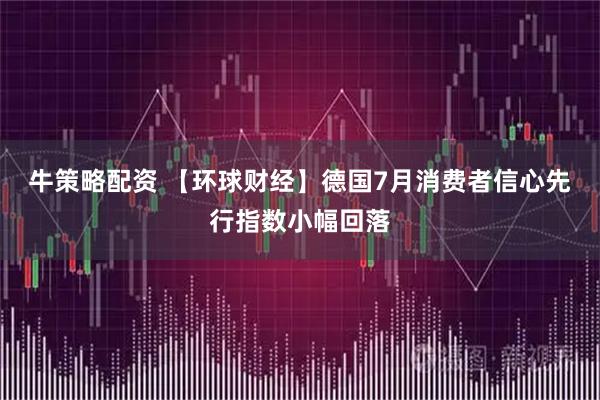 牛策略配资 【环球财经】德国7月消费者信心先行指数小幅回落