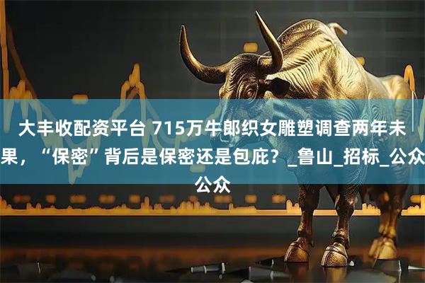 大丰收配资平台 715万牛郎织女雕塑调查两年未果，“保密”背后是保密还是包庇？_鲁山_招标_公众