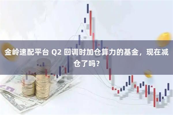 金岭速配平台 Q2 回调时加仓算力的基金，现在减仓了吗？