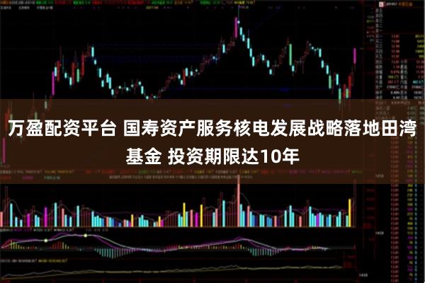 万盈配资平台 国寿资产服务核电发展战略落地田湾基金 投资期限达10年