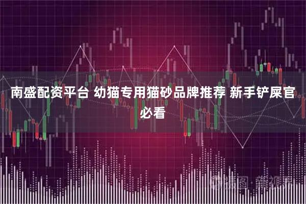 南盛配资平台 幼猫专用猫砂品牌推荐 新手铲屎官必看