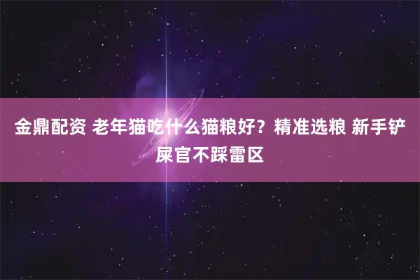 金鼎配资 老年猫吃什么猫粮好？精准选粮 新手铲屎官不踩雷区